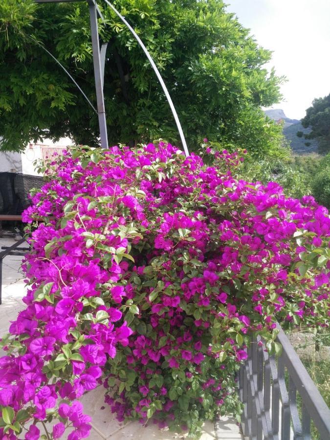 Incantevole Villa Con Vista Mozzafiato Cefalù Exteriör bild