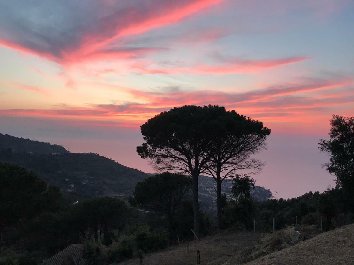 Incantevole Villa Con Vista Mozzafiato Cefalù Exteriör bild